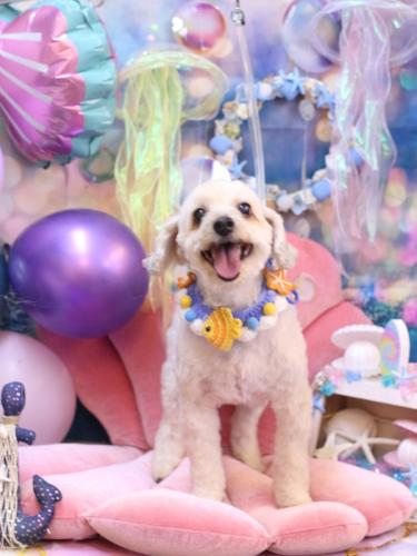 20240828ペカくん